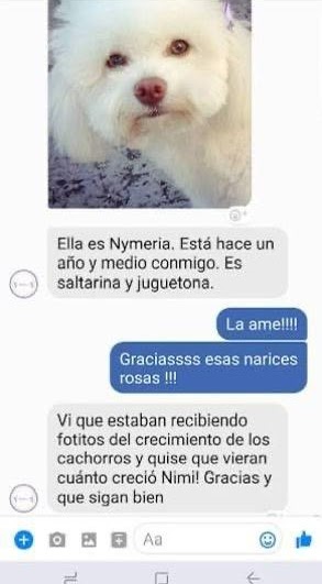 Familia Feliz Pupycand 1