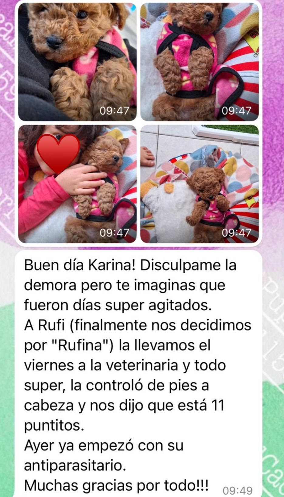 Familia Feliz Pupycand 10