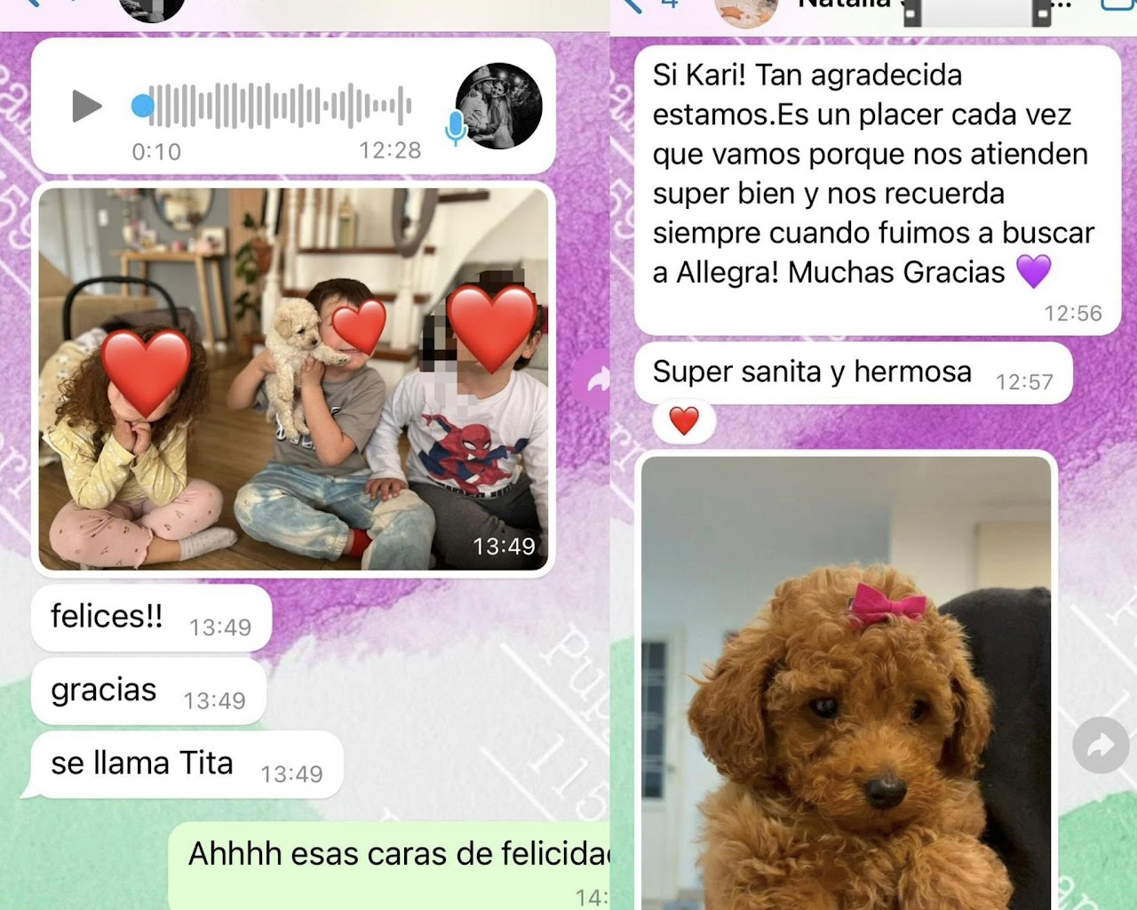 Familia Feliz Pupycand 11