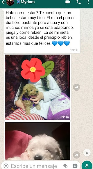 Familia Feliz Pupycand 3