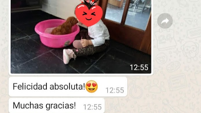 Familia Feliz Pupycand 5