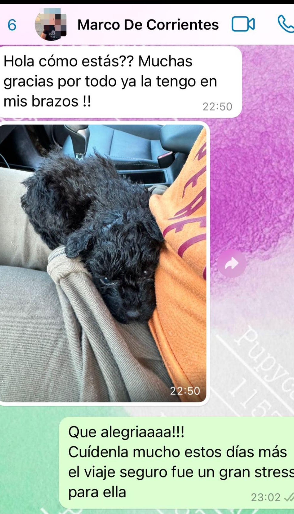 Familia Feliz Pupycand 7