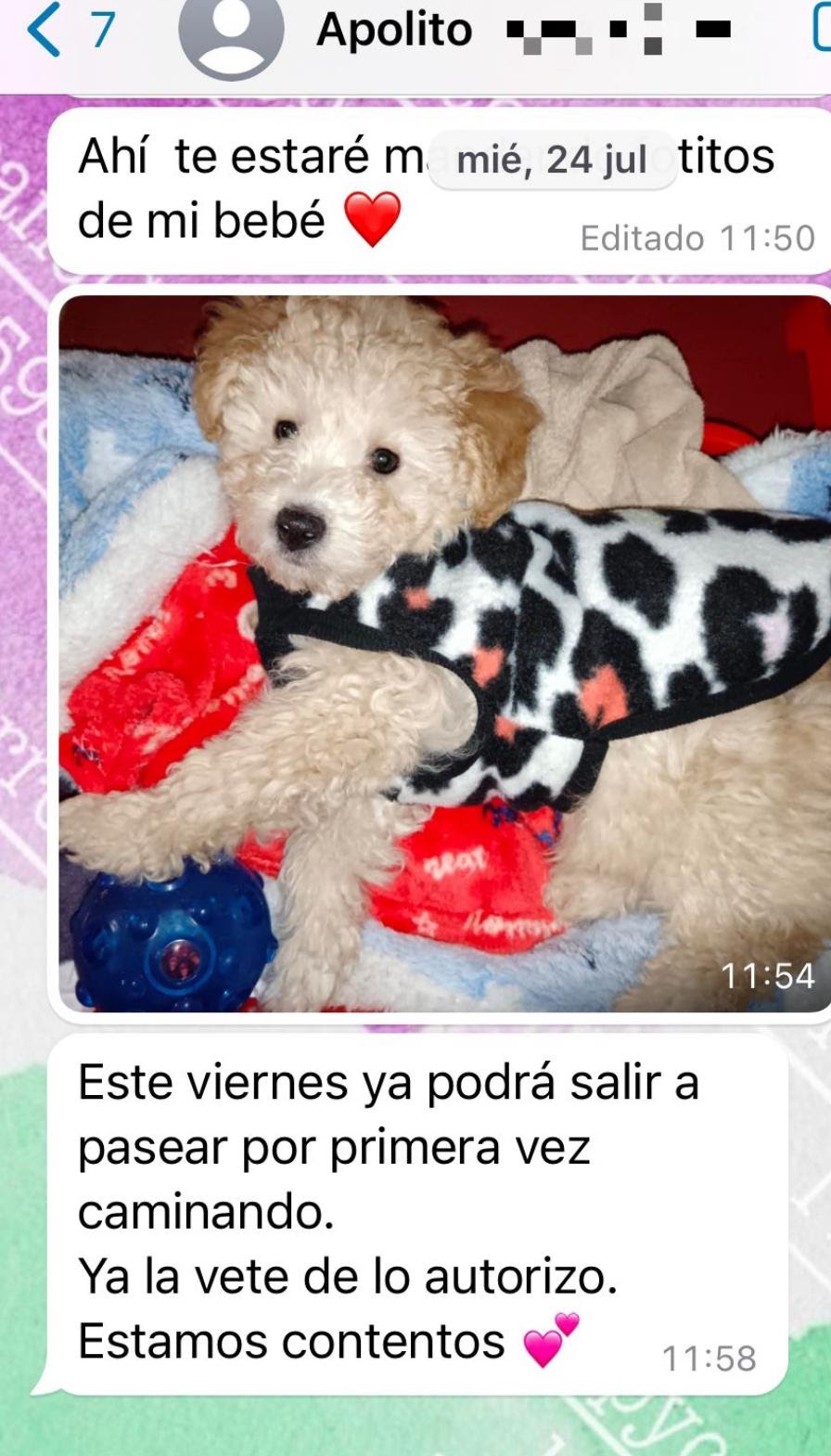 Familia Feliz Pupycand 8